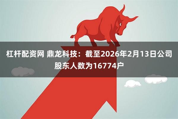 杠杆配资网 鼎龙科技：截至2026年2月13日公司股东人数为16774户