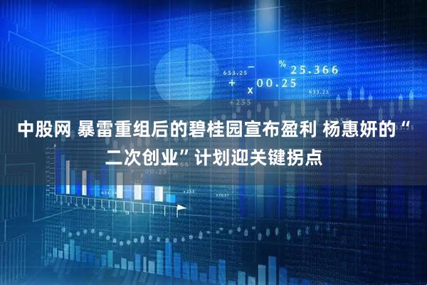 中股网 暴雷重组后的碧桂园宣布盈利 杨惠妍的“二次创业”计划迎关键拐点