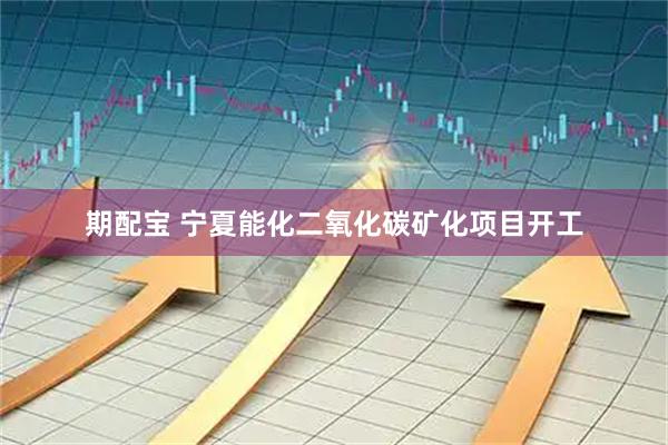 期配宝 宁夏能化二氧化碳矿化项目开工