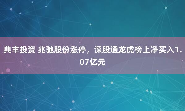 典丰投资 兆驰股份涨停，深股通龙虎榜上净买入1.07亿元