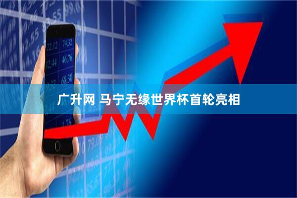 广升网 马宁无缘世界杯首轮亮相