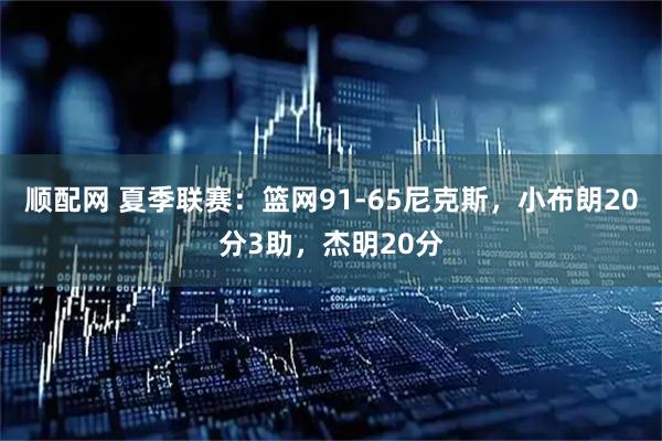 顺配网 夏季联赛:篮网91-65尼克斯,小布朗20分3助,杰明20分