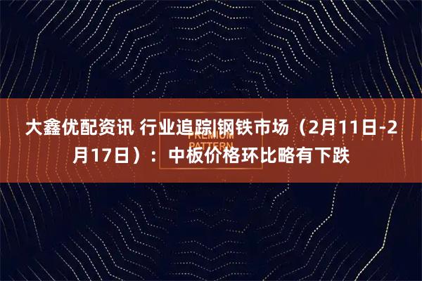 大鑫优配资讯 行业追踪|钢铁市场（2月11日-2月17日）：中板价格环比略有下跌