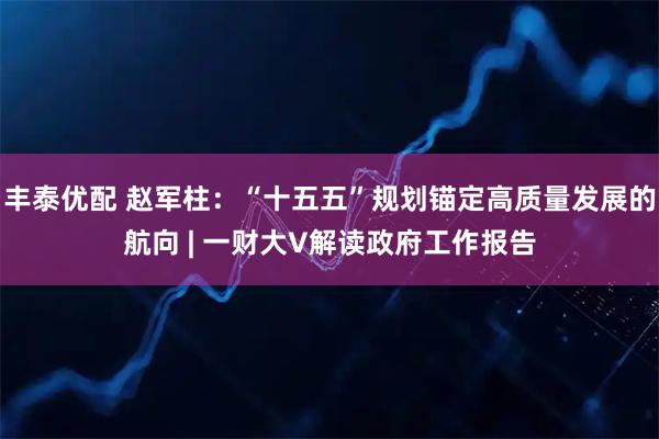 丰泰优配 赵军柱：“十五五”规划锚定高质量发展的航向 | 一财大V解读政府工作报告
