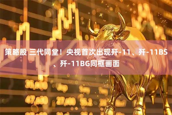 策略股 三代同堂！央视首次出现歼-11、歼-11BS、歼-11BG同框画面