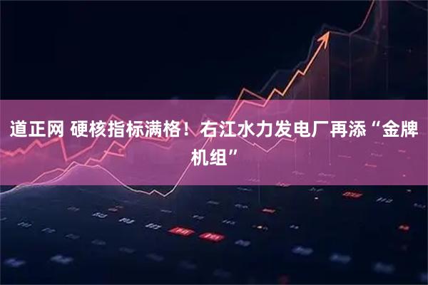 道正网 硬核指标满格！右江水力发电厂再添“金牌机组”