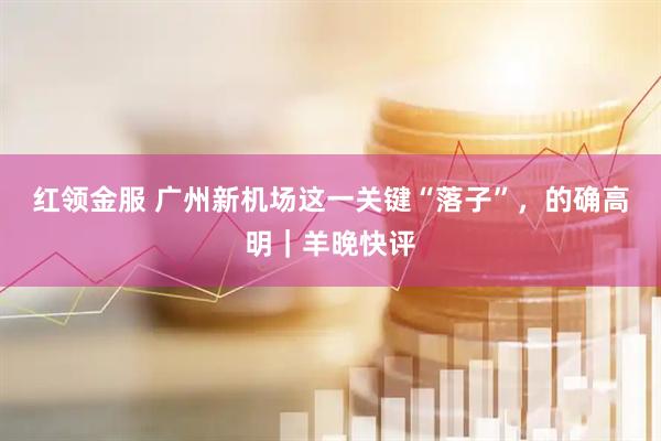 红领金服 广州新机场这一关键“落子”，的确高明｜羊晚快评