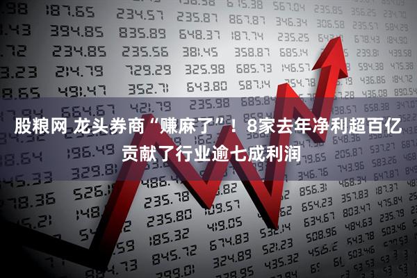 股粮网 龙头券商“赚麻了”！8家去年净利超百亿 贡献了行业逾七成利润