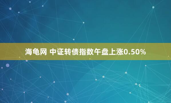 海龟网 中证转债指数午盘上涨0.50%