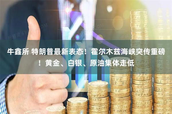 牛鑫所 特朗普最新表态！霍尔木兹海峡突传重磅！黄金、白银、原油集体走低